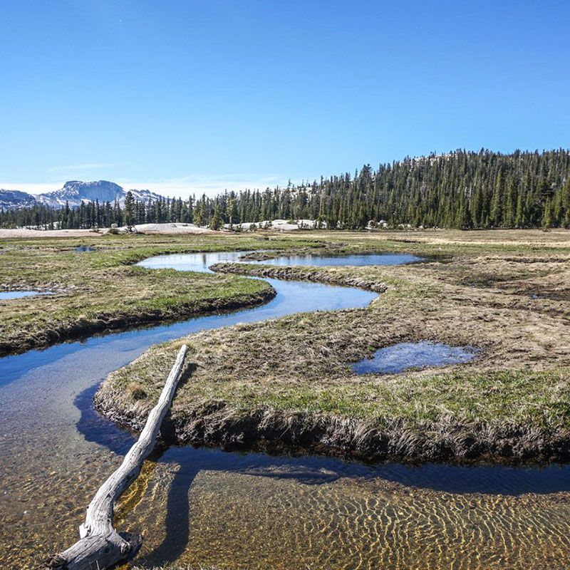 Cathedral Lakes